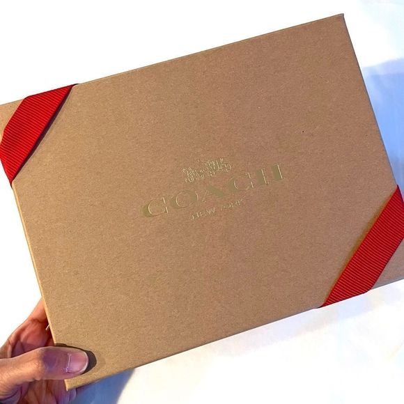 LAST 1 ❤️ NWT Coach Boxed Nolita 15 Embossed Signature Leather Chalk CF549 Gift - Picture 7 of 14